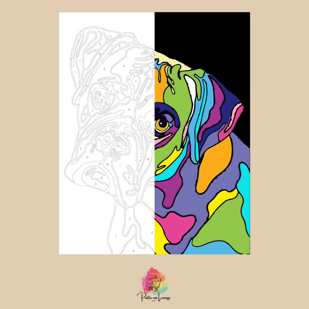Kit para pintar por números - Boxer colores