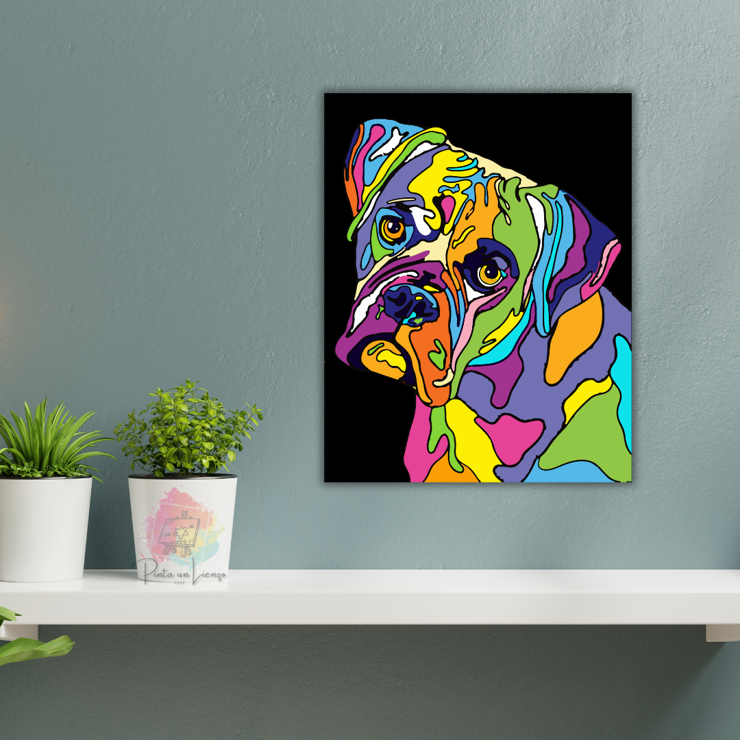 Kit para pintar por números - Boxer colores