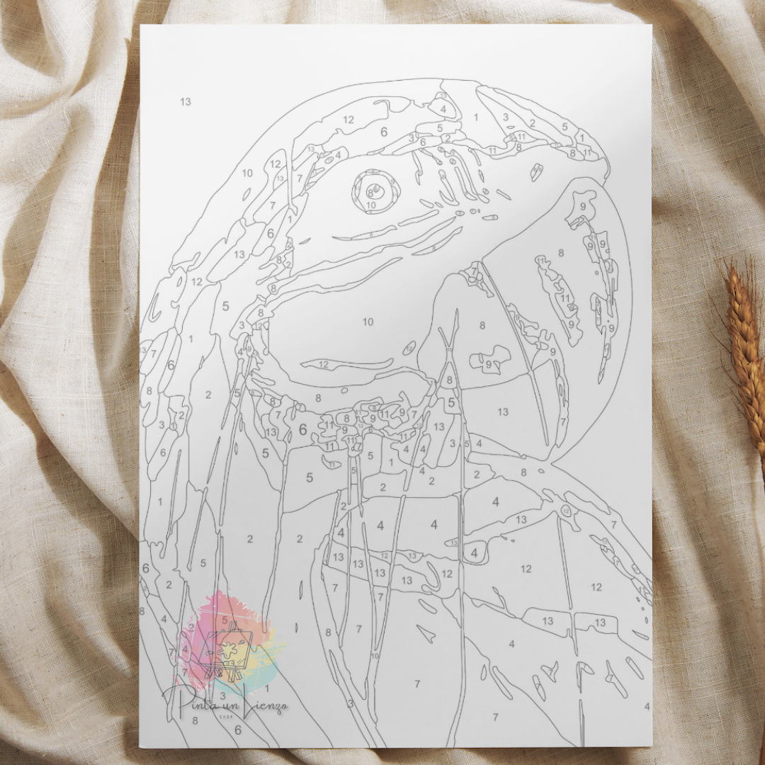 Kit para pintar por números - Guacamaya