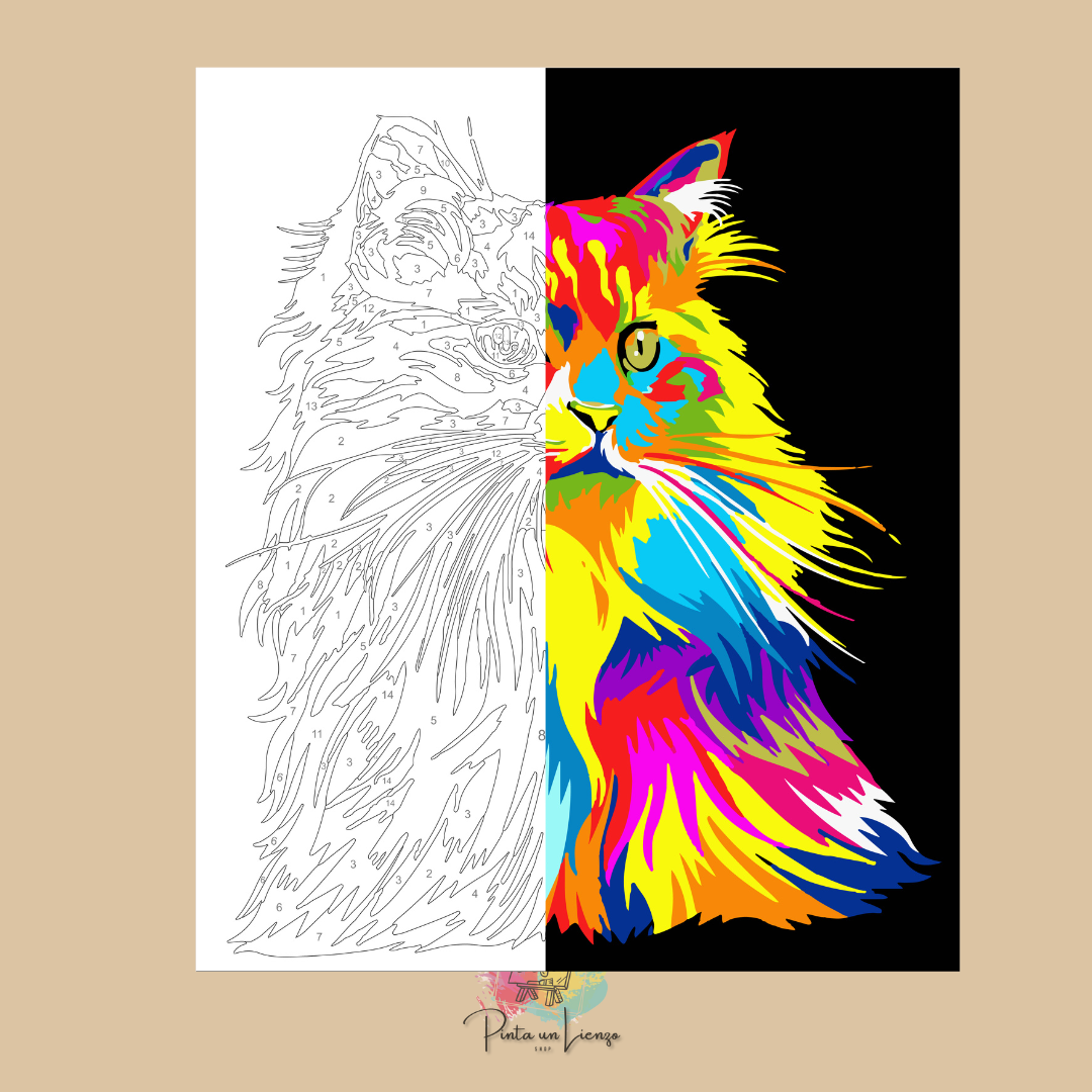 Kit para pintar por números - Gato Persa Colorido