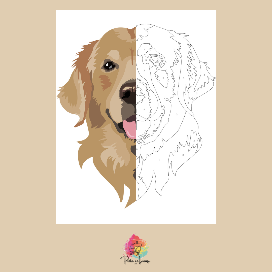 Kit pinta por números - Perro Golden Retriever