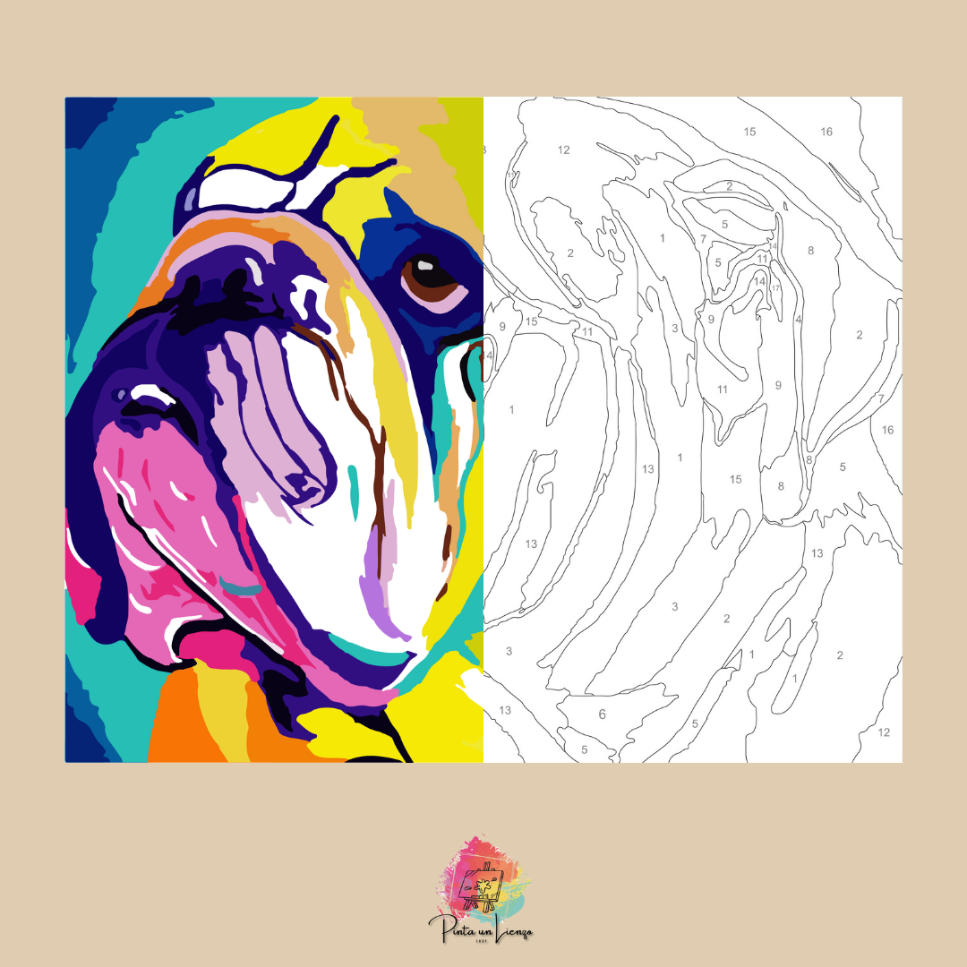 Kit para pintar por números - Buldog colores