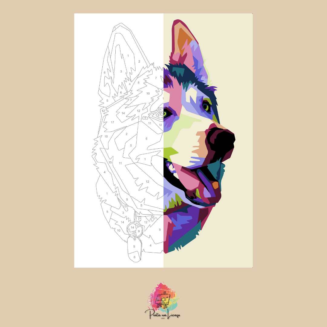 Kit pinta por números - Diseño Perro Husky