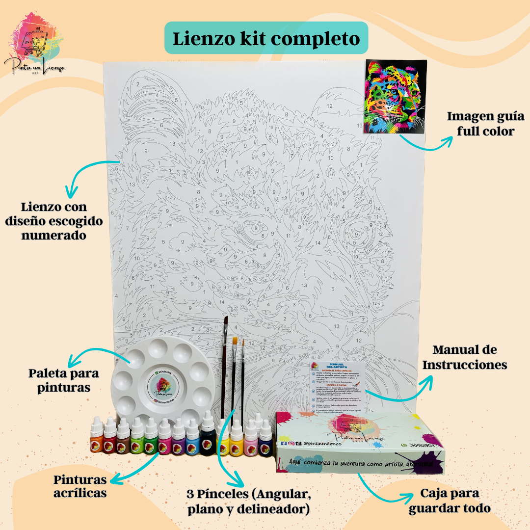 Kit pinta por números - Flores playeras