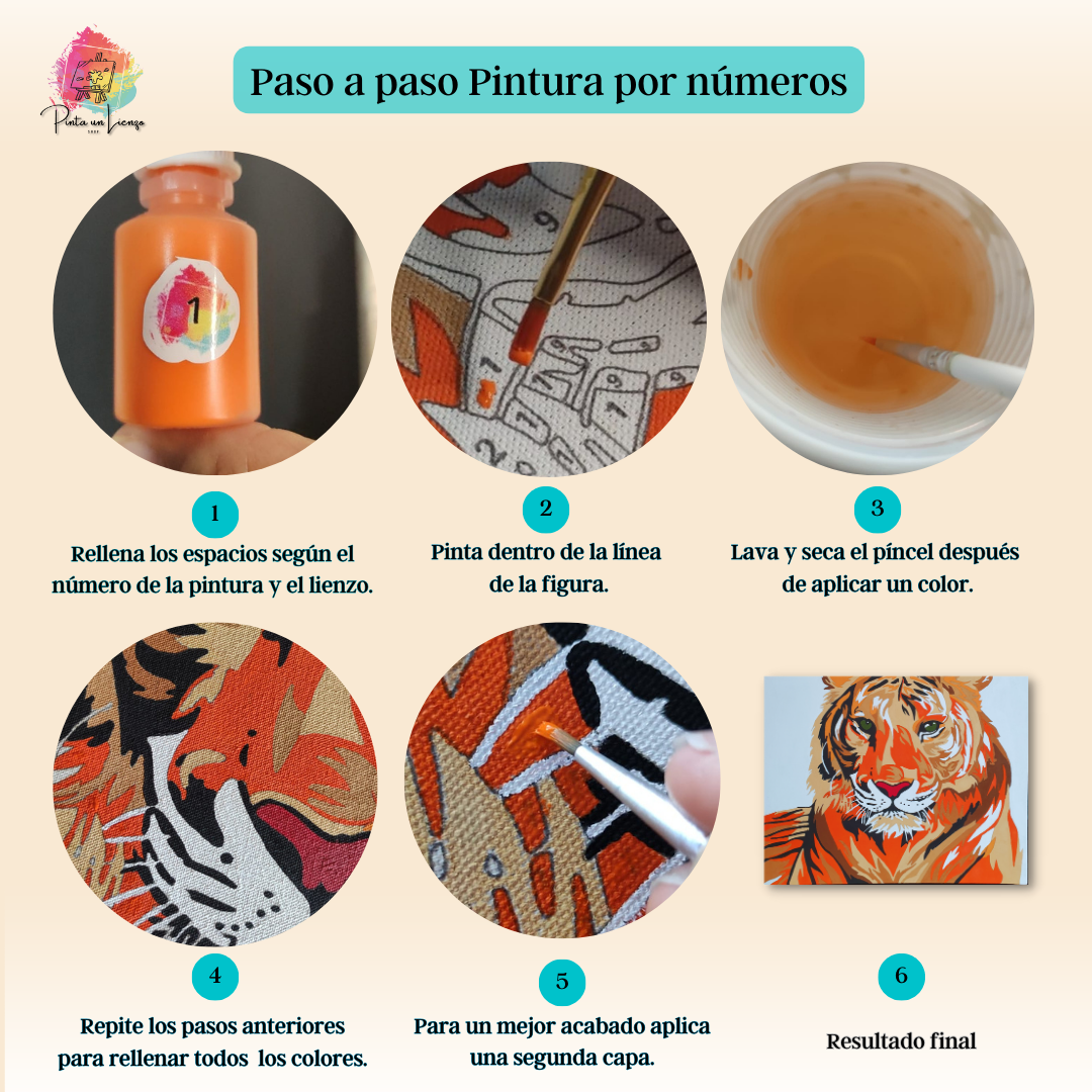 Kit para pintar por números - Boxer colores