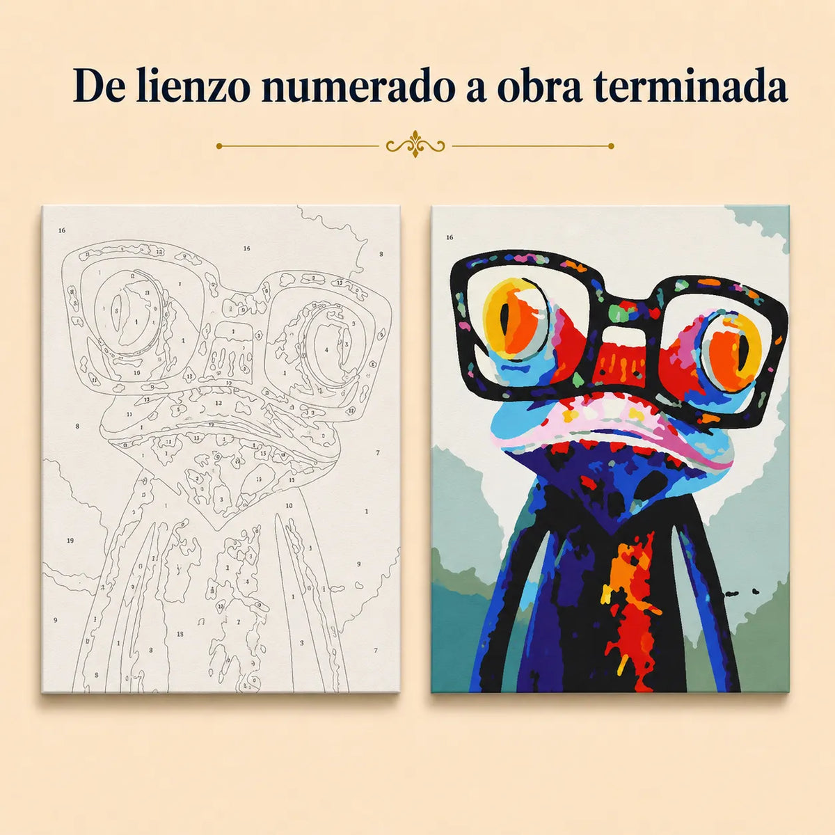 Kit de Lienzo para Pintar por Números - Rana gafas colorido