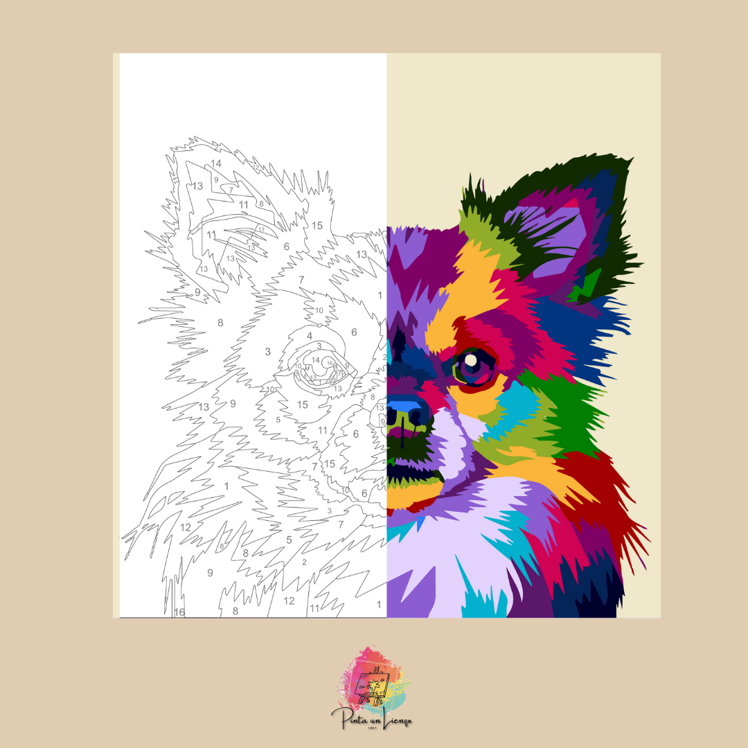 Kit para pintar por números - Chihuhua pelo largo colores