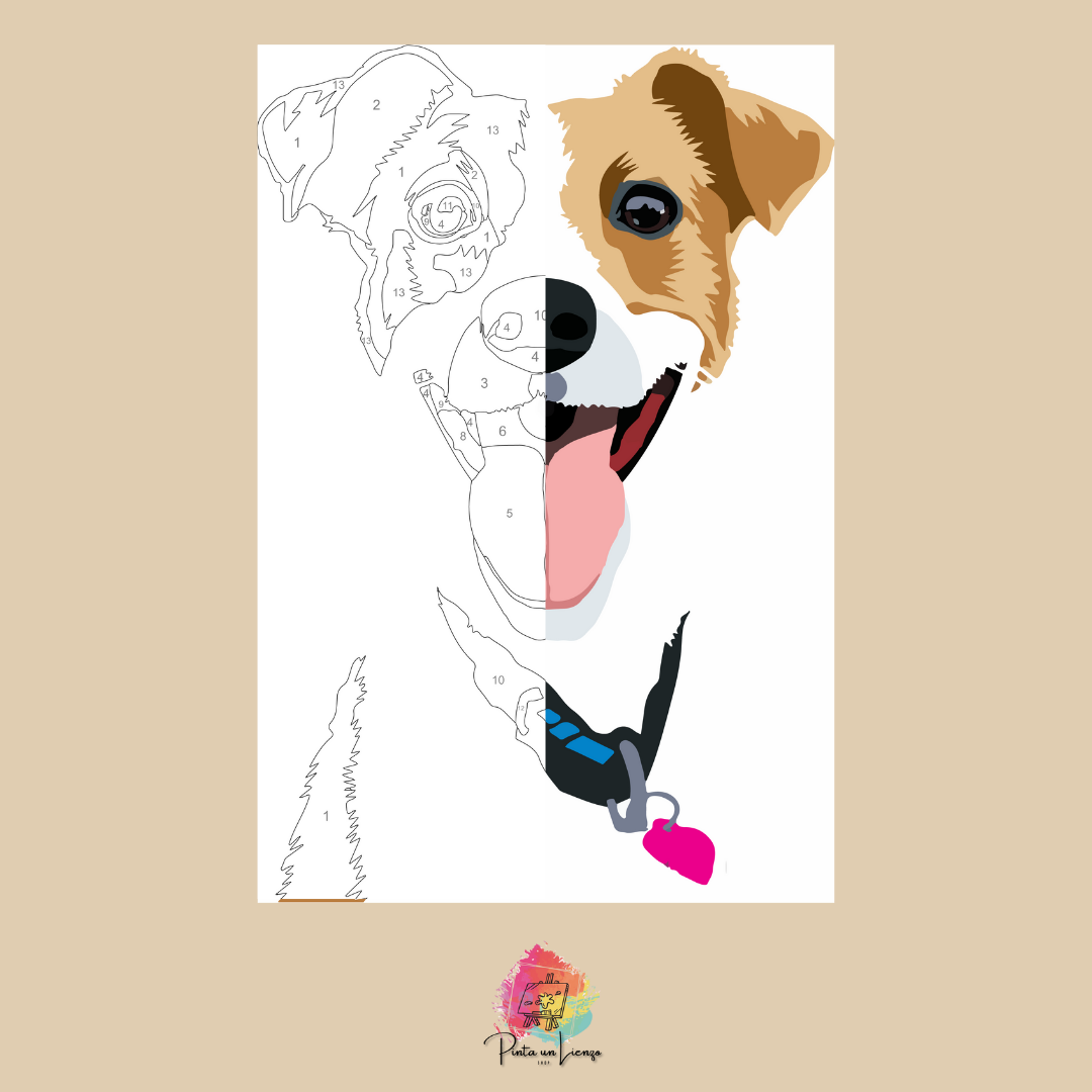 Kit pinta por números - Jack Russell Terrier para pintar
