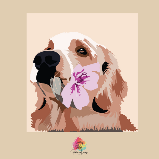 Kit para pintar por números - Perro Golden Retriever Flor