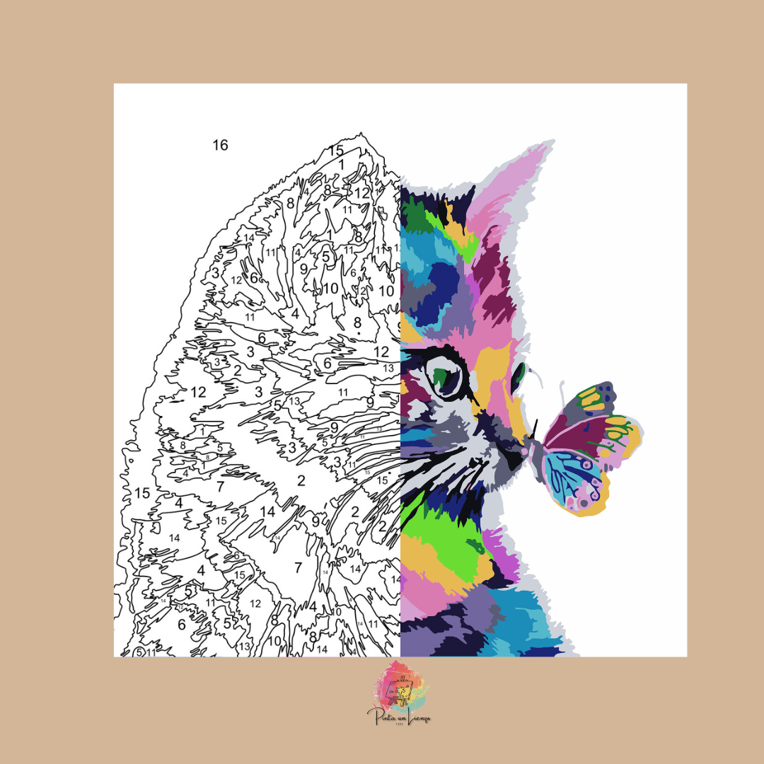 Kit pinta por números - Gato Colores Mariposa