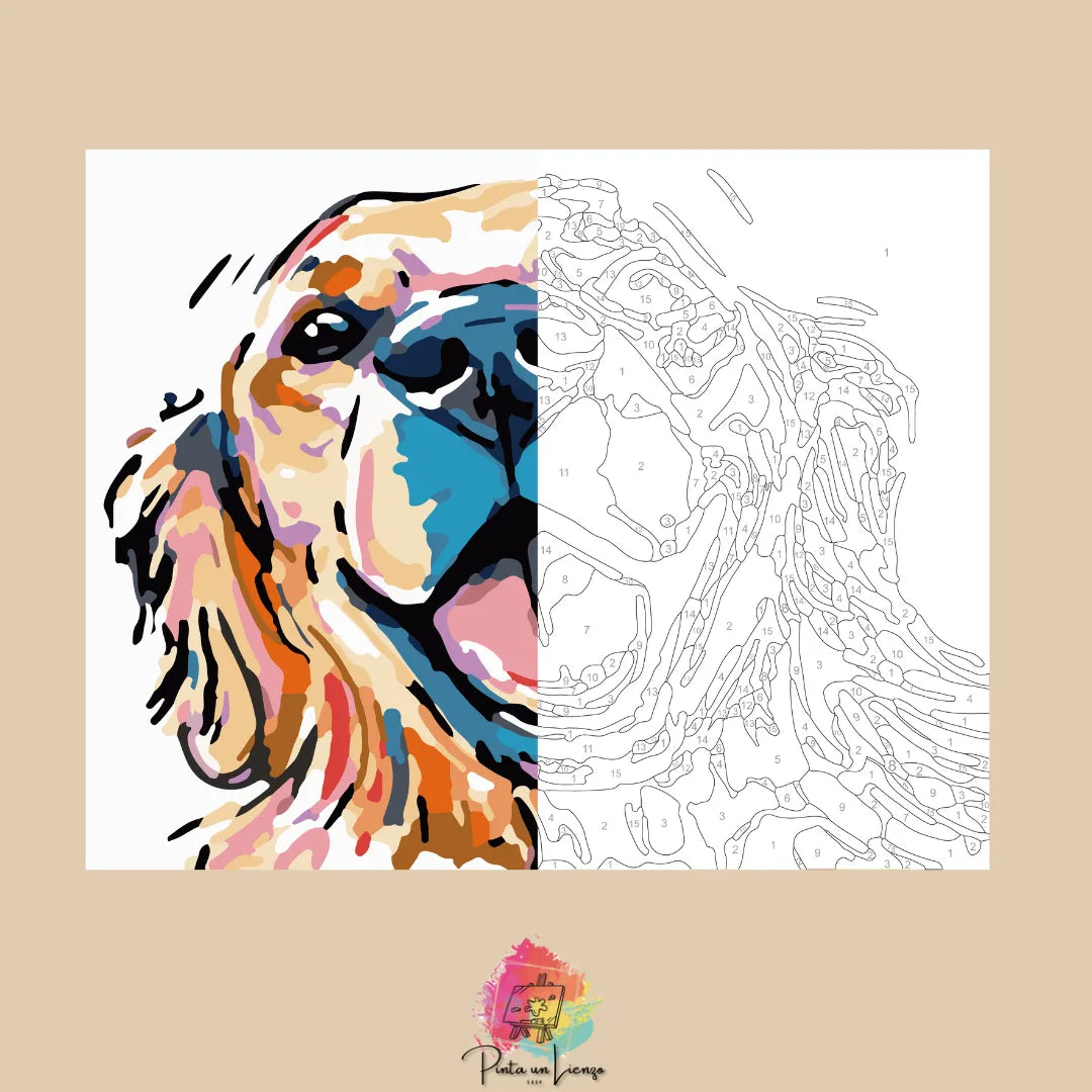Kit para pintar por números - Pintura perro