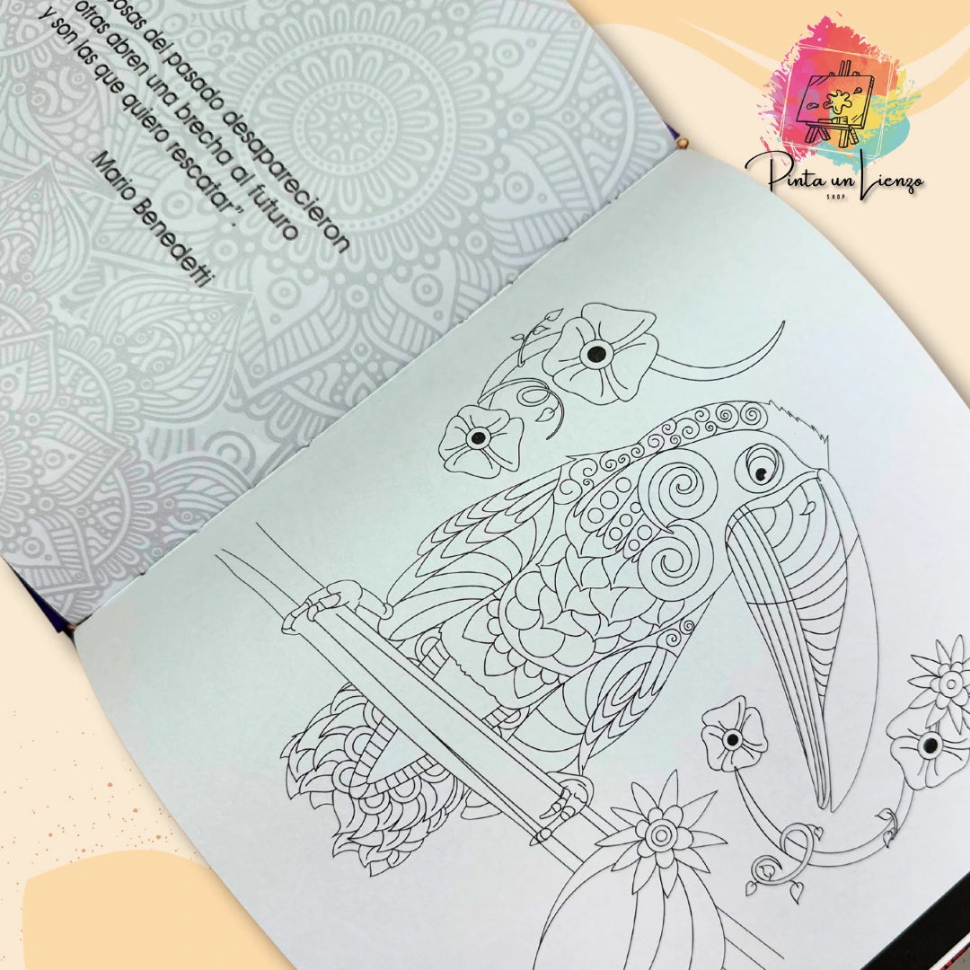 Kit Libro de Mandalas Pasta Dura + Plumones o colores