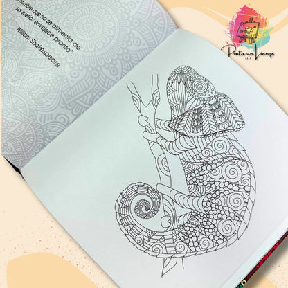 Kit Libro de Mandalas Pasta Dura + Plumones o colores