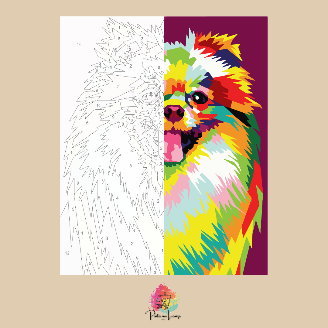 Kit para pintar por números - Pomerania Pop Art