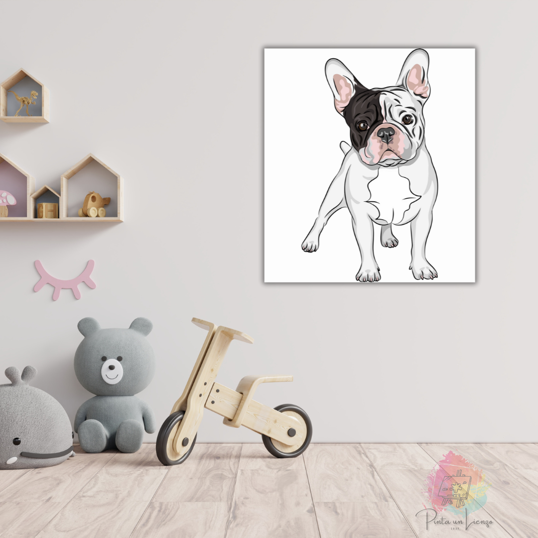Kit para pintar por números - Buldog Francés Blanco