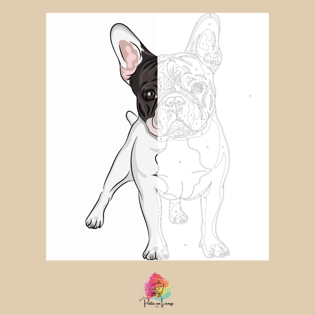 Kit para pintar por números - Buldog Francés Blanco