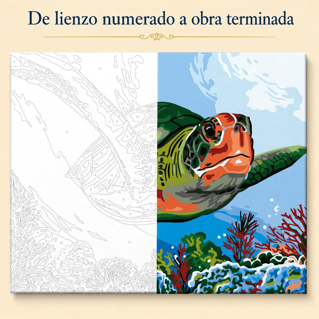 Kit de Lienzo para Pintar por Números - Tortuga Marina Arrecife corales