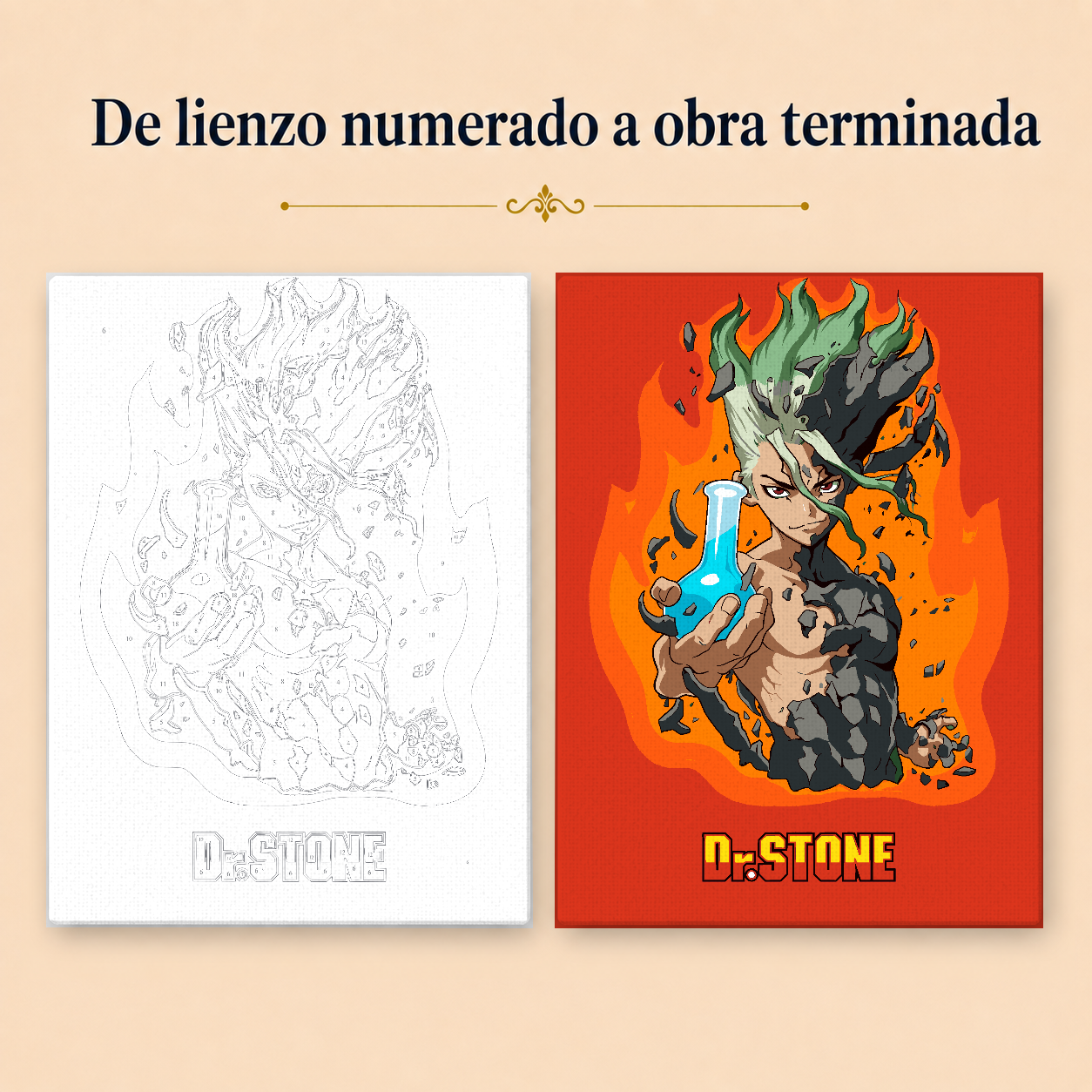 Kit para pintar por números - Dr. Stone