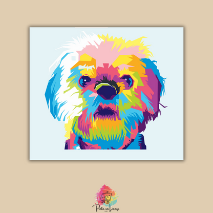 Kit pinta por números - Perro Shih tzu colores