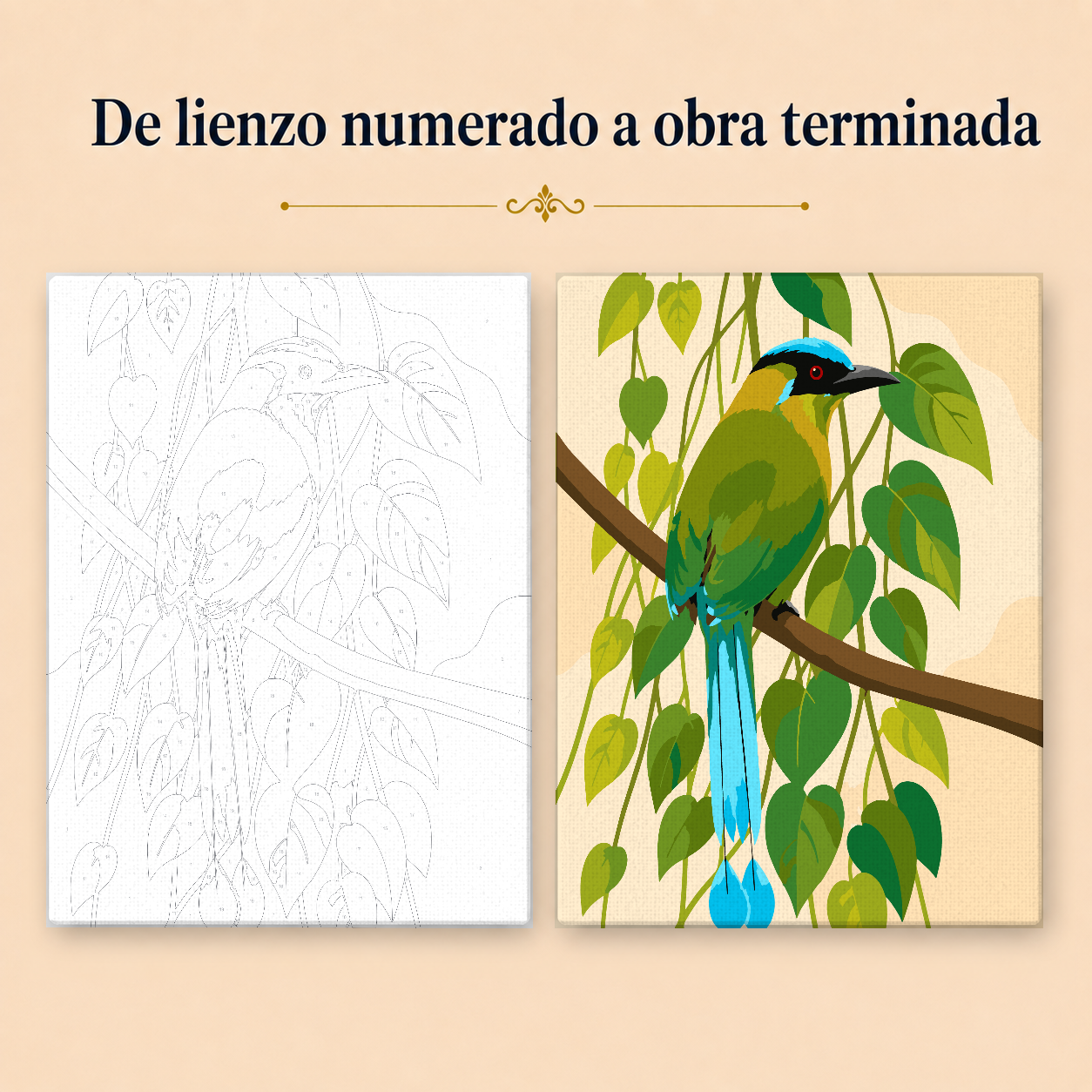 Kit para pintar por números - Pájaro Barranquero