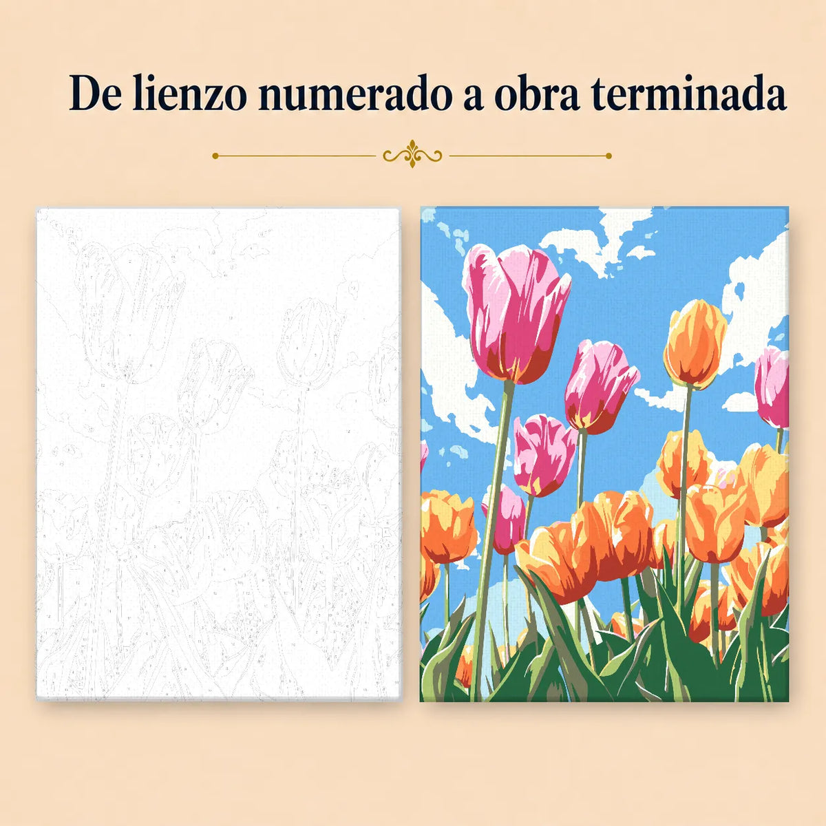 Kit para pintar por números - Campo de Tulipanes