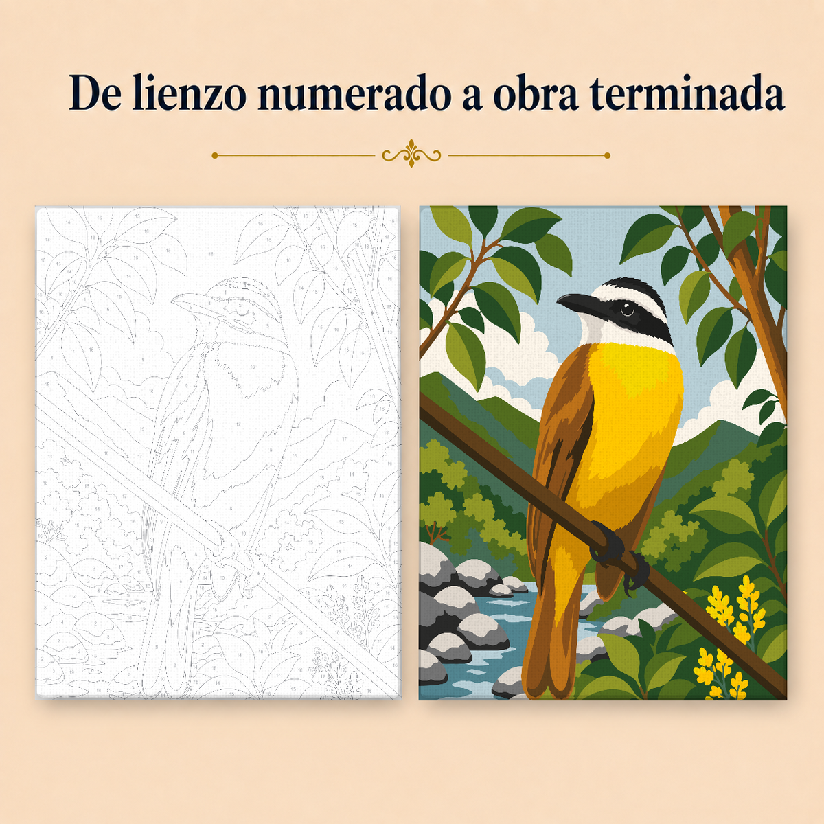 Kit de Lienzo para Pintar por Números - Pájaro Benteveo