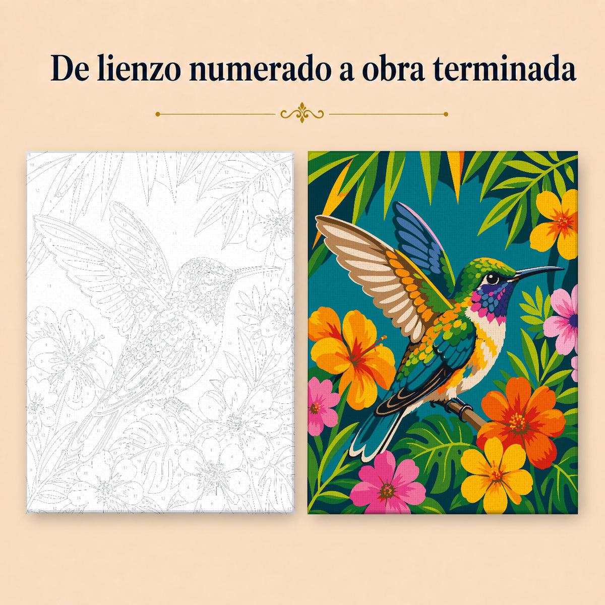 Kit para pintar por números - Colibrí Flores y naturaleza