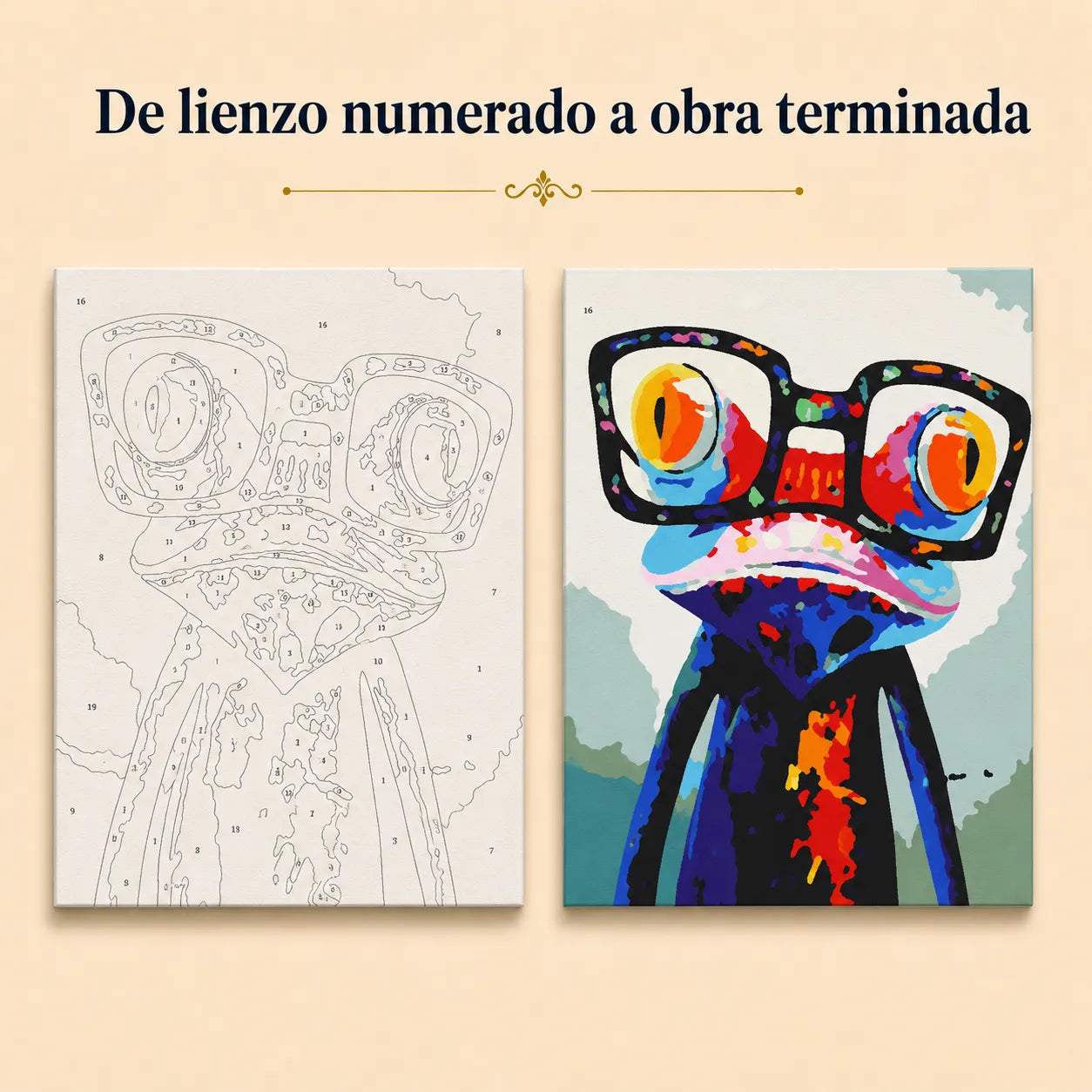 Kit de Lienzo para Pintar por Números - Rana gafas colorido