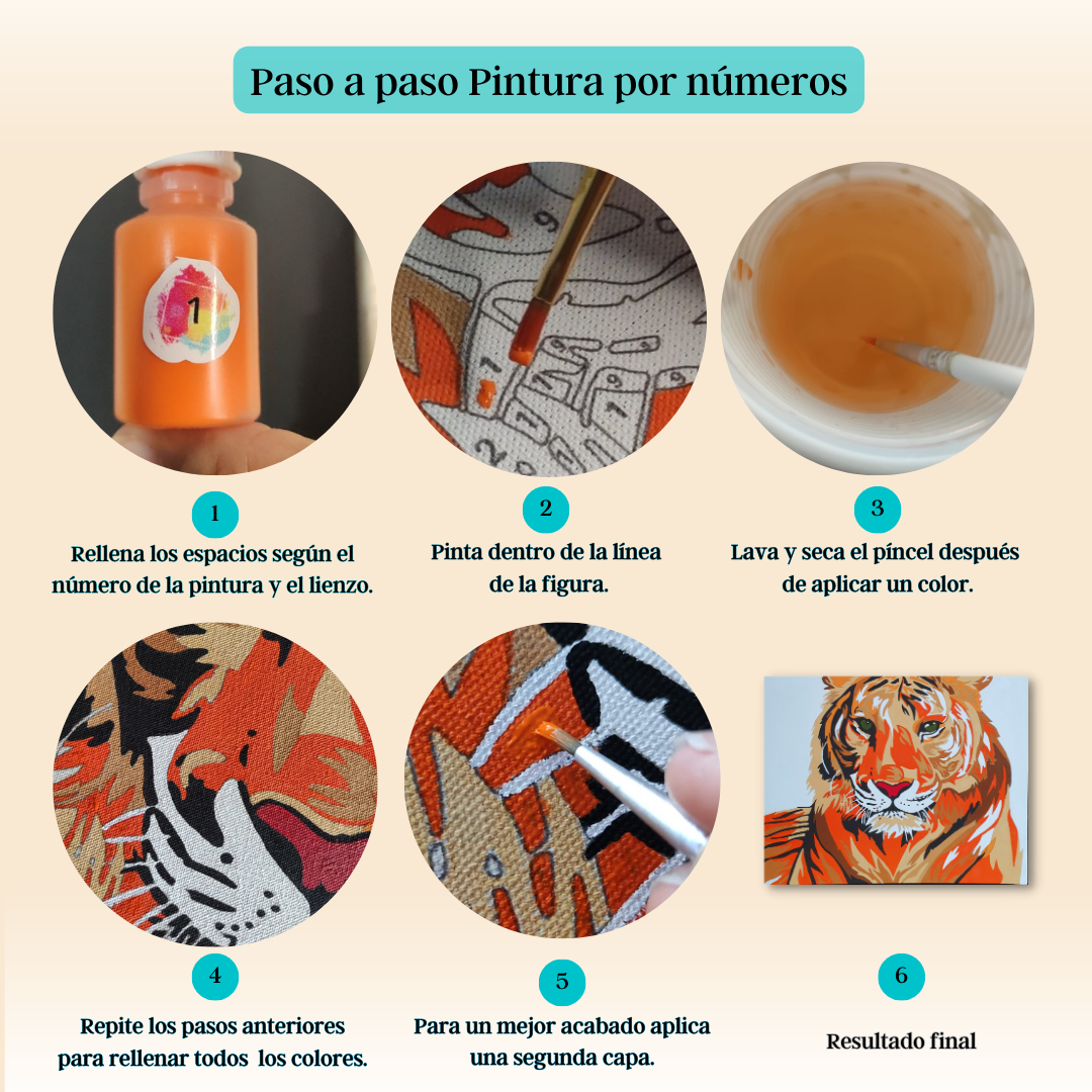 Kit para pintar por números - Chihuhua pelo largo colores